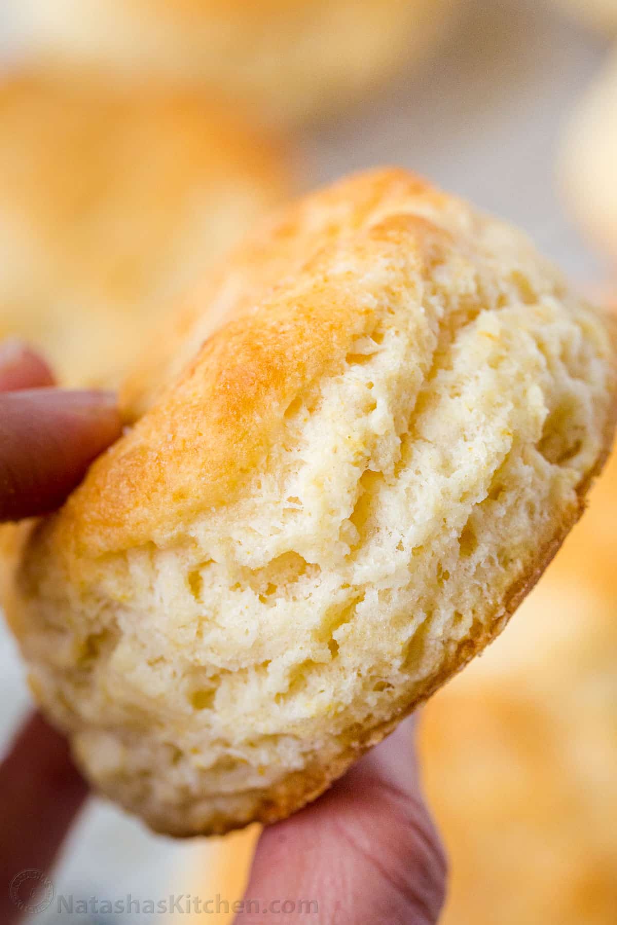 Up close fluffy homemade biscuit with soft layers