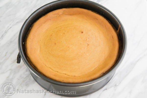 Pumpkin Cheesecake Recipe-5